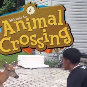 Meet your Posher, Nick